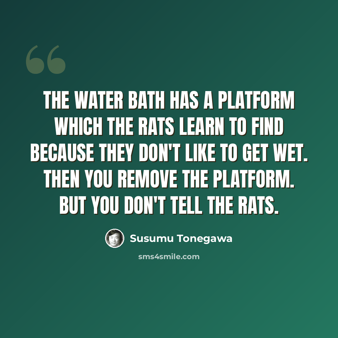 “The water bath has a platform which the rats learn to find because they don't like to get wet. Then you remove the platform. But you don't tell the rats.” quote by Susumu Tonegawa