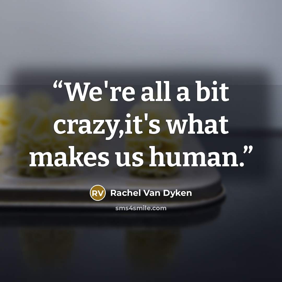 “We're all a bit crazy,it's what makes us human.” quote by Rachel Van Dyken