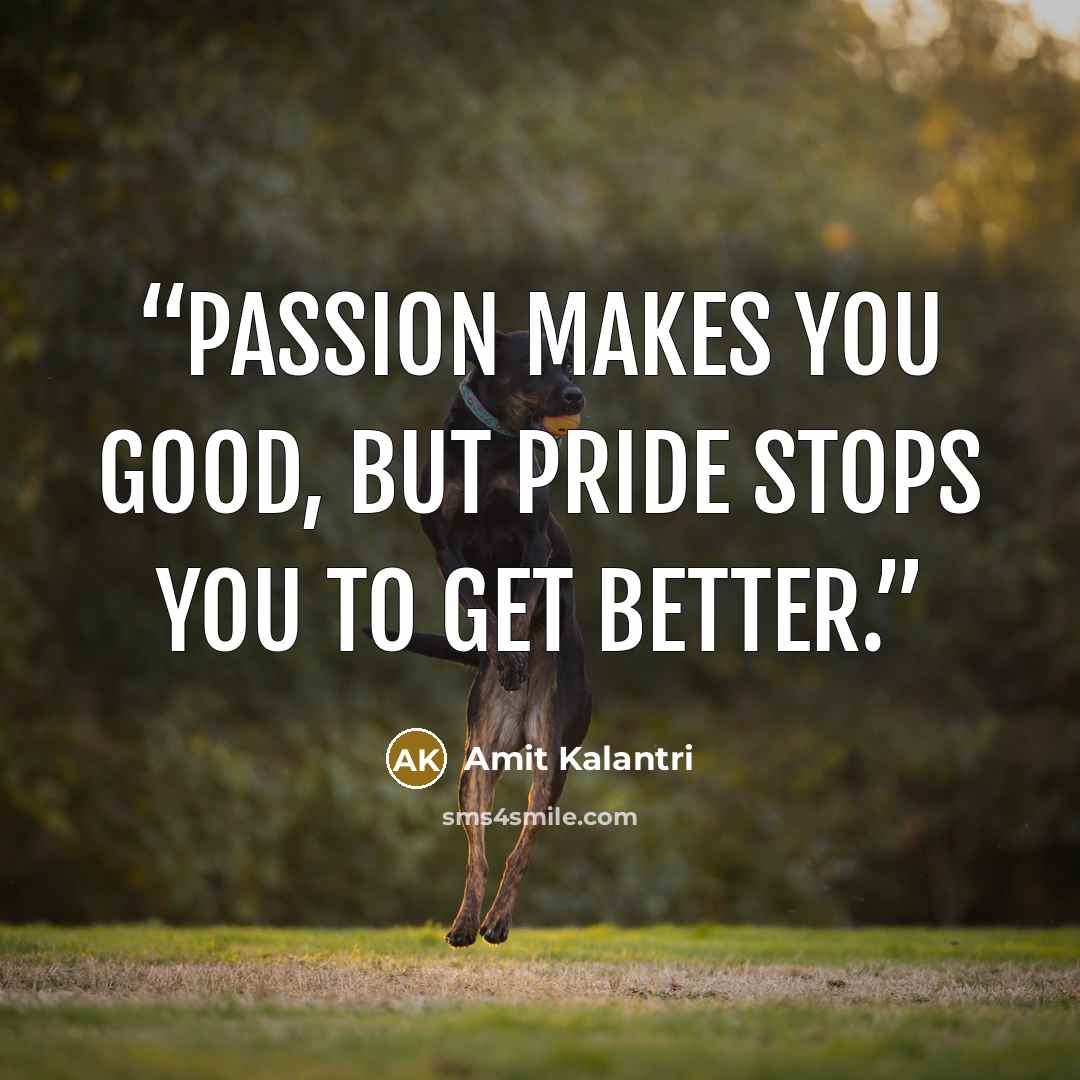 “Passion makes you good, but pride stops you to get better.” quote by Amit Kalantri