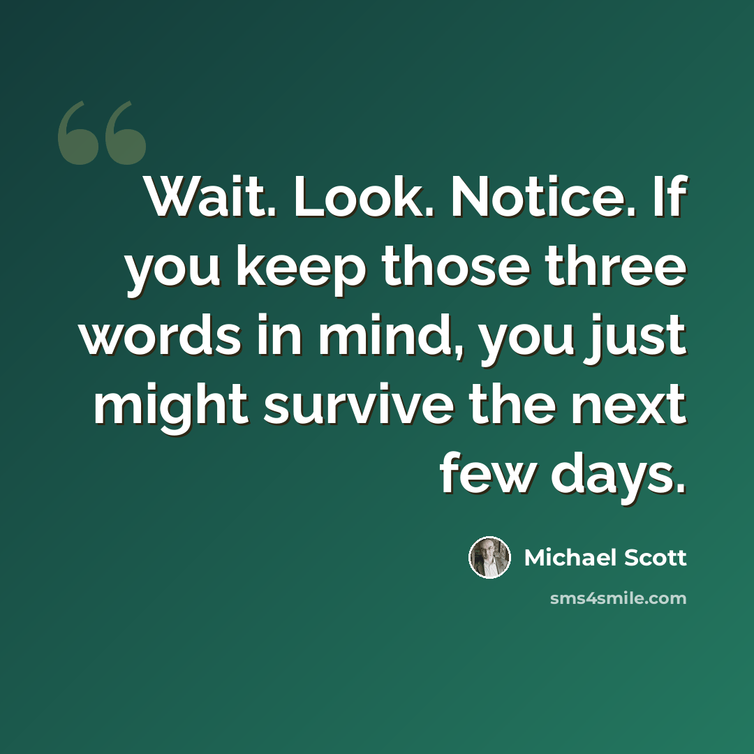 “Wait. Look. Notice. If you keep those three words in mind, you just might survive the next few days.” quote by Michael Scott