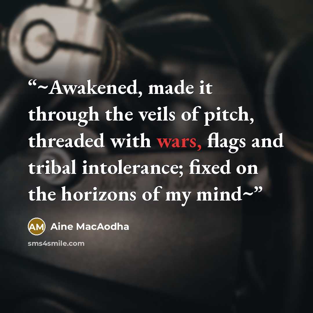 “~Awakened, made it through the veils of pitch, threaded with wars, flags and tribal intolerance; fixed on the horizons of my mind~” quote by Aine MacAodha