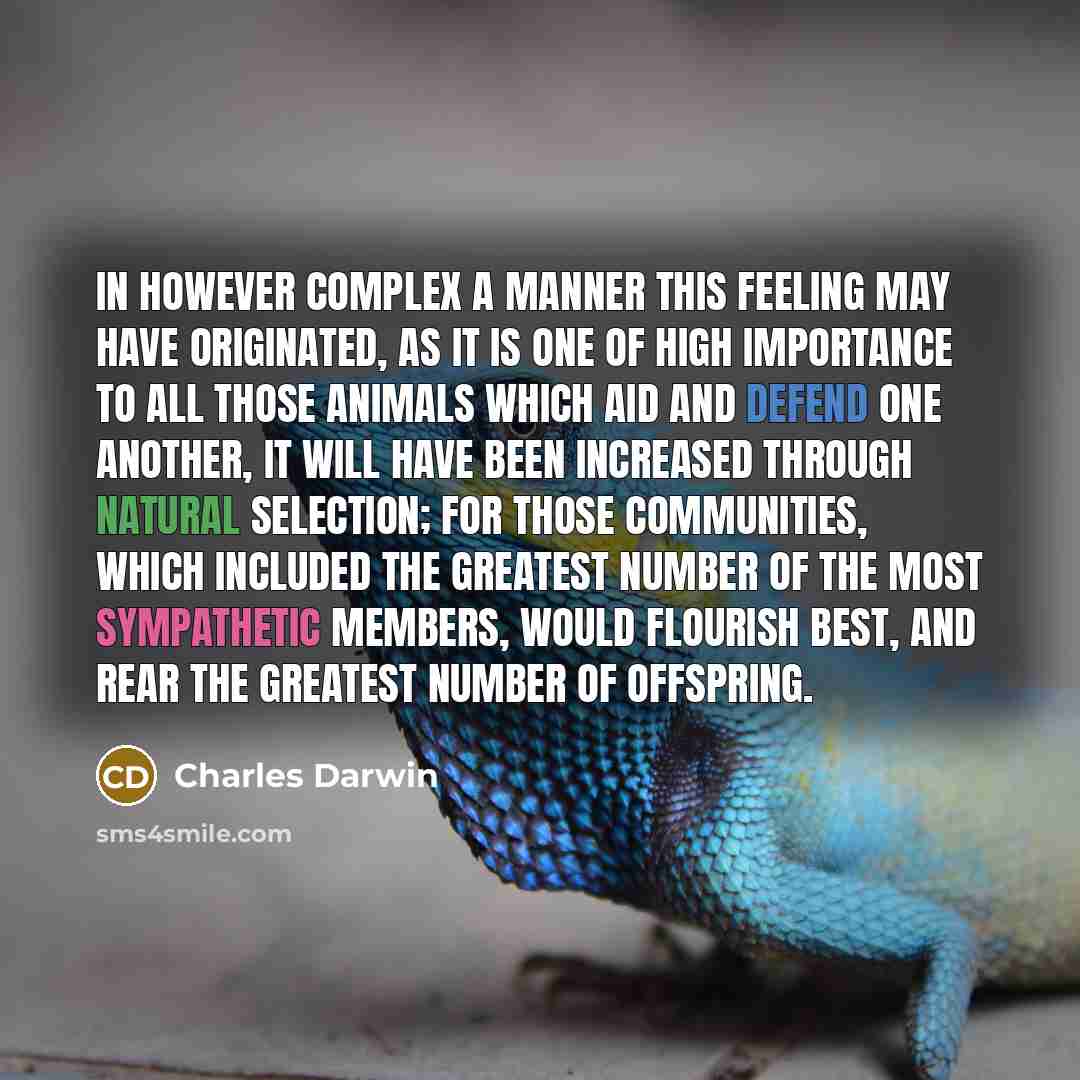 “In however complex a manner this feeling may have originated, as it is one of high importance to all those animals which aid and defend one another, it will have been increased through natural selection; for those communities, which included the greatest number of the most sympathetic members…” quote by Charles Darwin