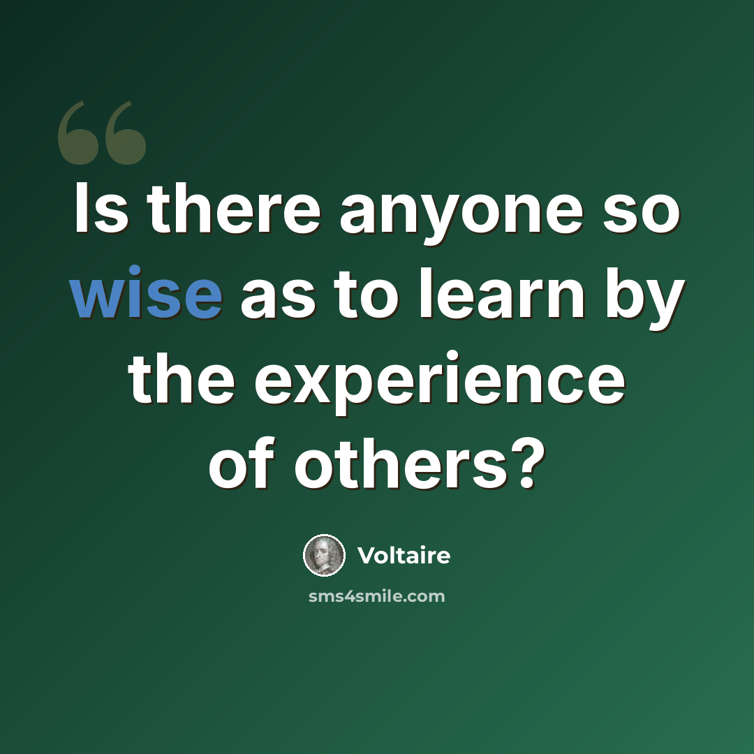 “Is there anyone so wise as to learn by the experience of others?” quote by Voltaire