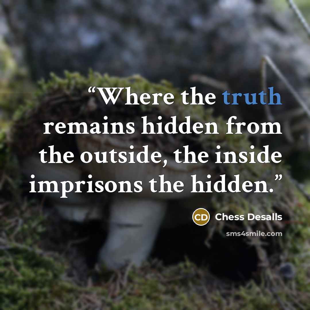 “Where the truth remains hidden from the outside, the inside imprisons the hidden.” quote by Chess Desalls
