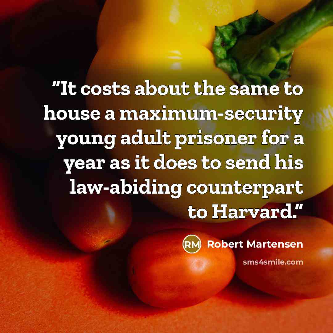 “It costs about the same to house a maximum-security young adult prisoner for a year as it does to send his law-abiding counterpart to Harvard.” quote by Robert Martensen