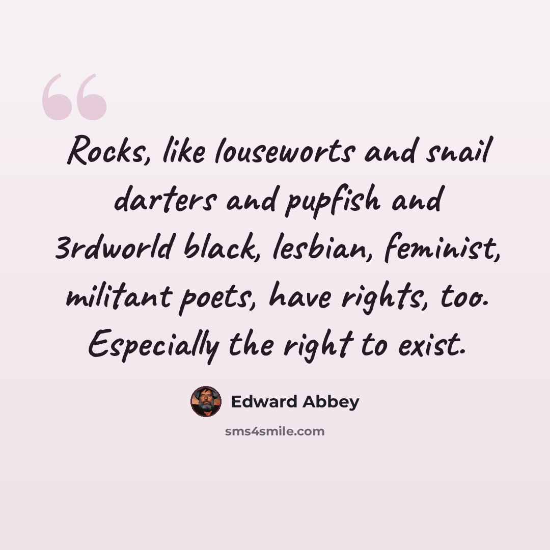 “Rocks, like louseworts and snail darters and pupfish and 3rdworld black, lesbian, feminist, militant poets, have rights, too. Especially the right to exist.” quote by Edward Abbey