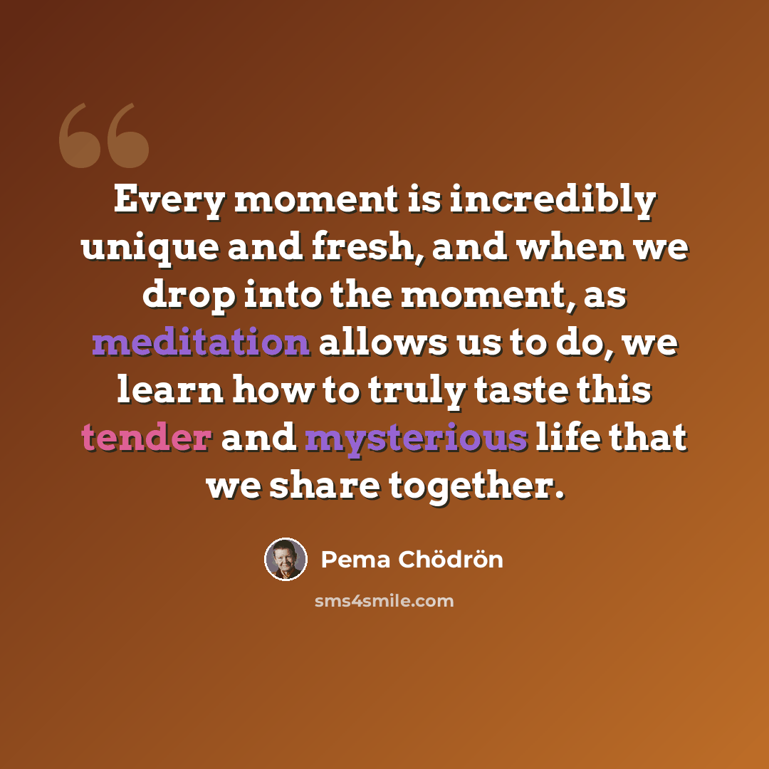 “Every moment is incredibly unique and fresh, and when we drop into the moment, as meditation allows us to do, we learn how to truly taste this tender and mysterious life that we share together.” quote by Pema Chodron