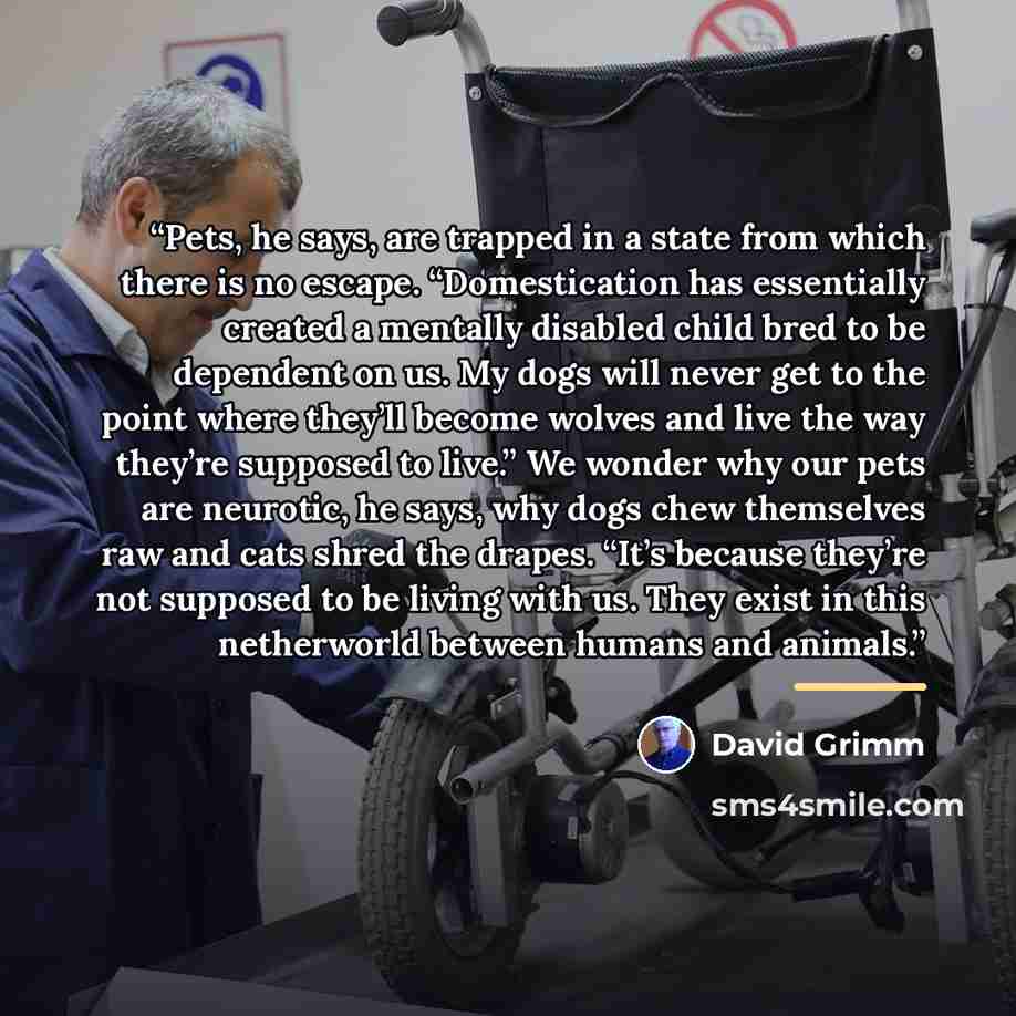 “Pets, he says, are trapped in a state from which there is no escape. “Domestication has essentially created a mentally disabled child bred to be dependent on us. My dogs will never get to the point where they’ll become wolves and live the way they’re supposed to live.” We wonder why our pets are…” quote by David Grimm