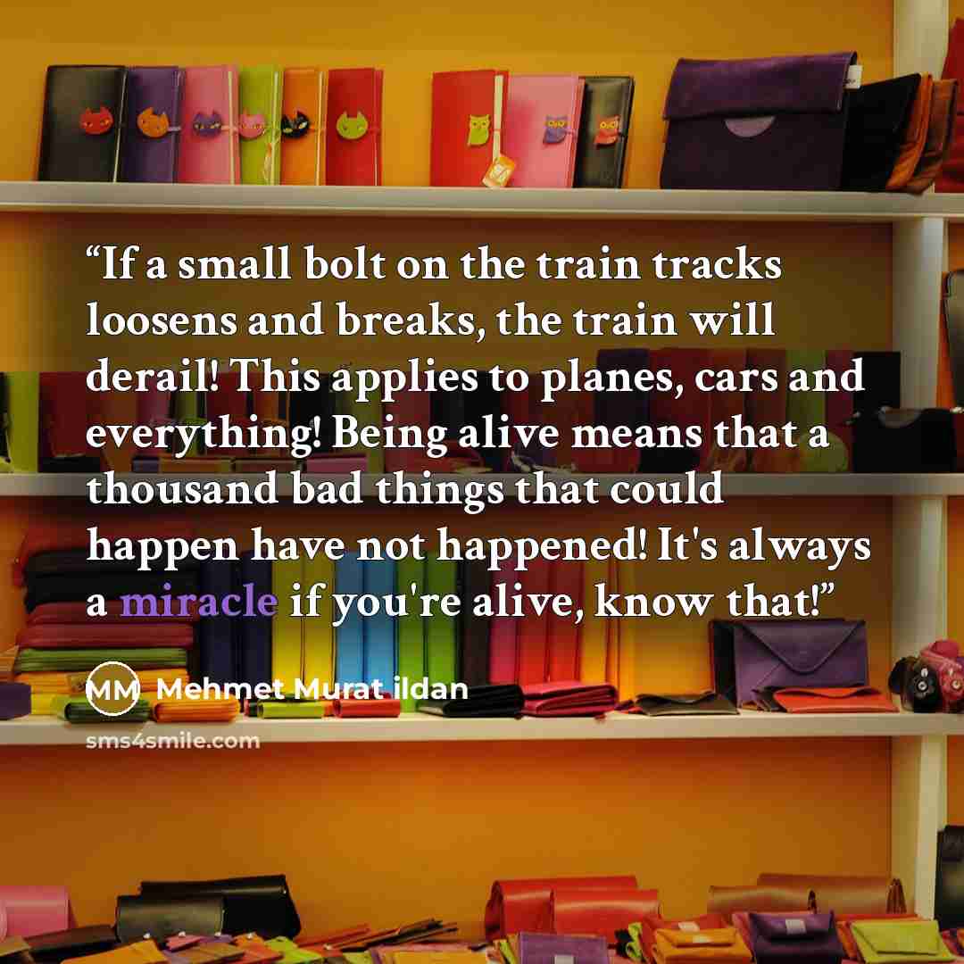 “If a small bolt on the train tracks loosens and breaks, the train will derail! This applies to planes, cars and everything! Being alive means that a thousand bad things that could happen have not happened! It's always a miracle if you're alive, know that!” quote by Mehmet Murat ildan