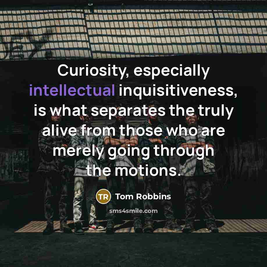 “Curiosity, especially intellectual inquisitiveness, is what separates the truly alive from those who are merely going through the motions.” quote by Tom Robbins