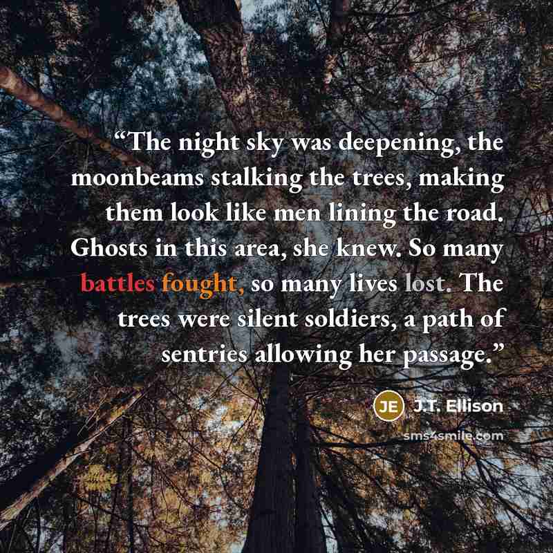 “The night sky was deepening, the moonbeams stalking the trees, making them look like men lining the road. Ghosts in this area, she knew. So many battles fought, so many lives lost. The trees were silent soldiers, a path of sentries allowing her passage.” quote by J.T. Ellison