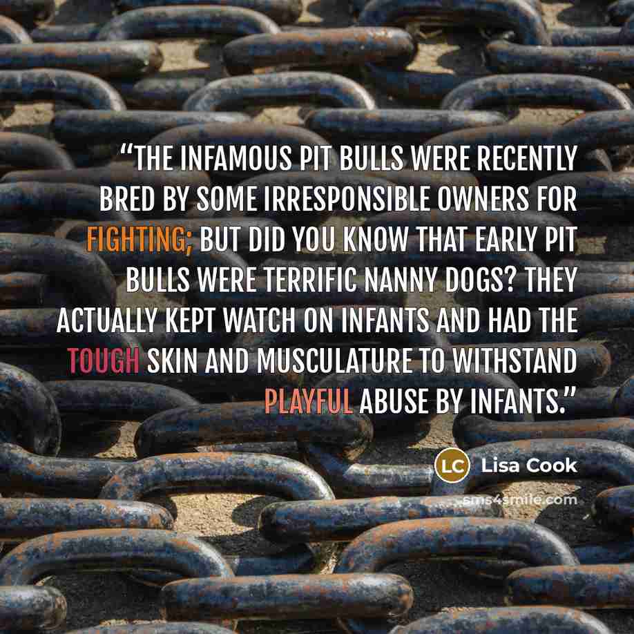 “The infamous Pit bulls were recently bred by some irresponsible owners for fighting; but did you know that early pit bulls were terrific nanny dogs? They actually kept watch on infants and had the tough skin and musculature to withstand playful abuse by infants.” quote by Lisa Cook