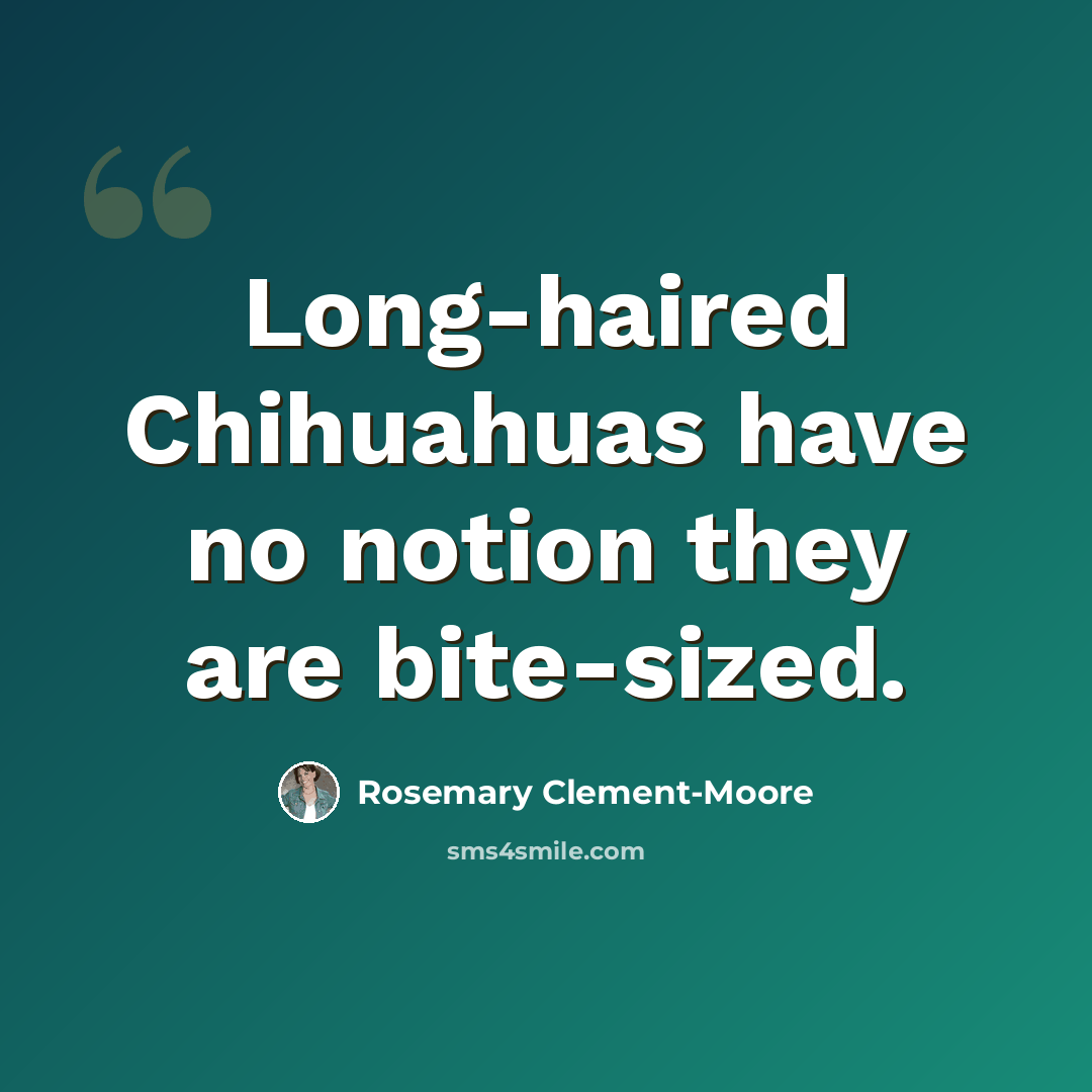 “Long-haired Chihuahuas have no notion they are bite-sized.” quote by Rosemary Clement-Moore