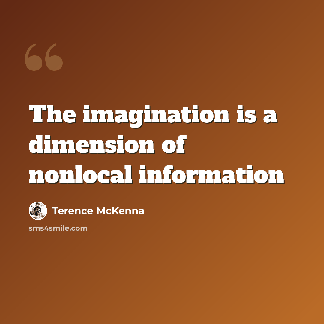 “The imagination is a dimension of nonlocal information” quote by Terence McKenna