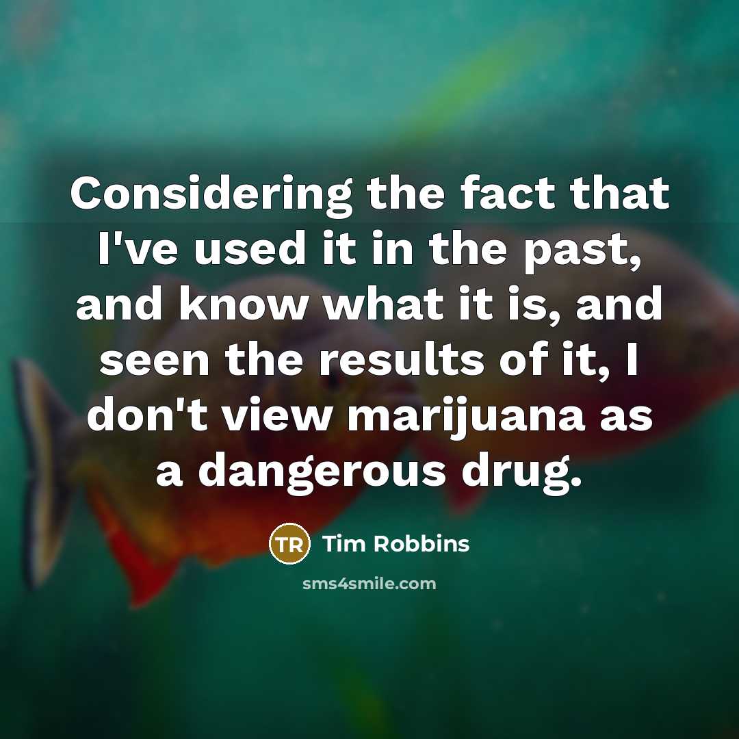 “Considering the fact that I've used it in the past, and know what it is, and seen the results of it, I don't view marijuana as a dangerous drug.” quote by Tim Robbins