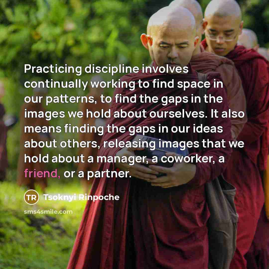 “Practicing discipline involves continually working to find space in our patterns, to find the gaps in the images we hold about ourselves. It also means finding the gaps in our ideas about others, releasing images that we hold about a manager, a coworker, a friend, or a partner.” quote by Tsoknyi Rinpoche