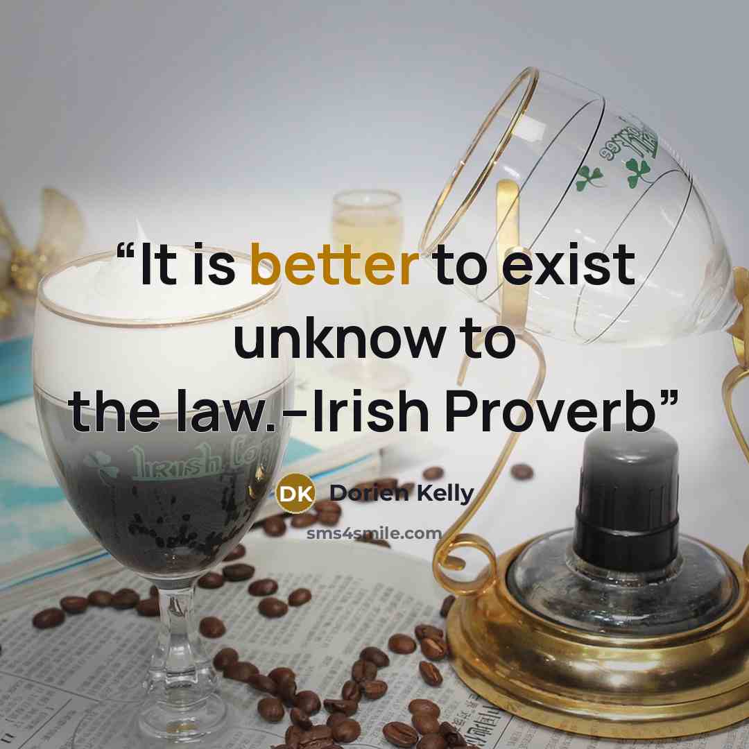 “It is better to exist unknow to the law.--Irish Proverb” quote by Dorien Kelly