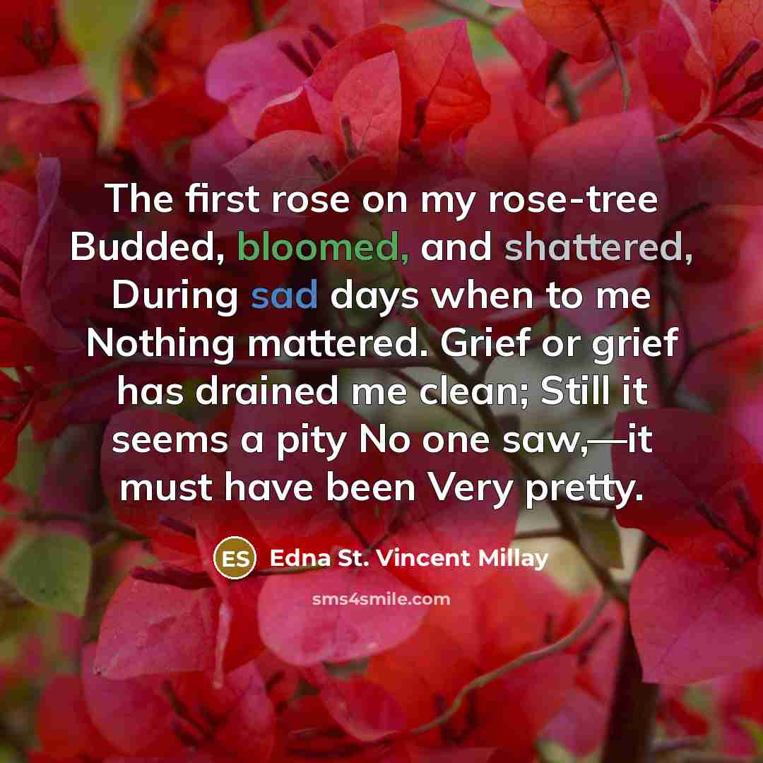 “The first rose on my rose-tree Budded, bloomed, and shattered, During sad days when to me Nothing mattered. Grief or grief has drained me clean; Still it seems a pity No one saw,—it must have been Very pretty.” quote by Edna St. Vincent Millay