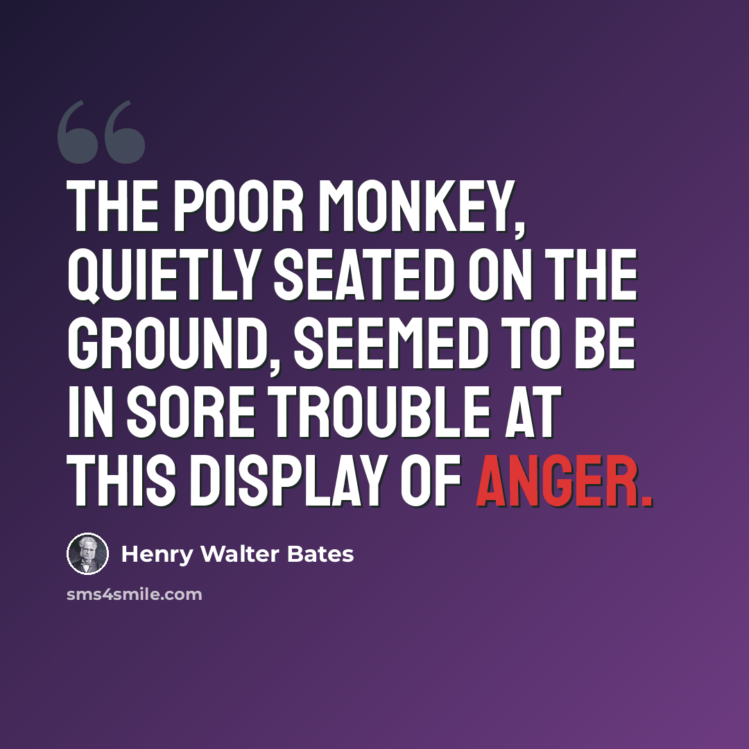 “The poor monkey, quietly seated on the ground, seemed to be in sore trouble at this display of anger.” quote by Henry Walter Bates