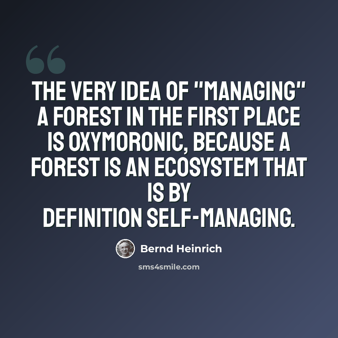 “The very idea of "managing" a forest in the first place is oxymoronic, because a forest is an ecosystem that is by definition self-managing.” quote by Bernd Heinrich