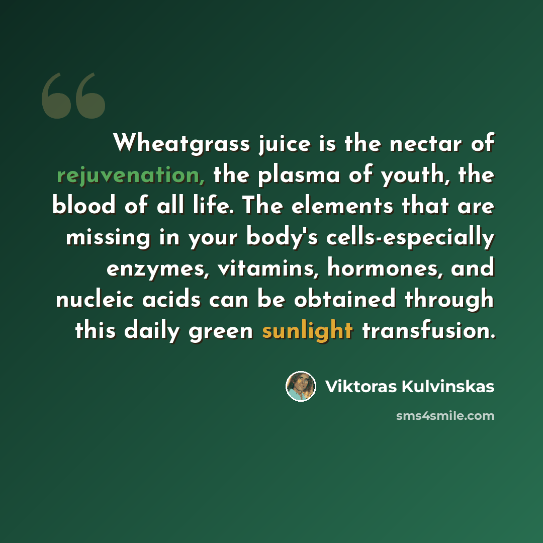 “Wheatgrass juice is the nectar of rejuvenation, the plasma of youth, the blood of all life. The elements that are missing in your body's cells-especially enzymes, vitamins, hormones, and nucleic acids can be obtained through this daily green sunlight transfusion.” quote by Viktoras Kulvinskas