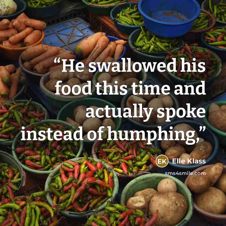 “He swallowed his food this time and actually spoke instead of humphing,” quote by Elle Klass