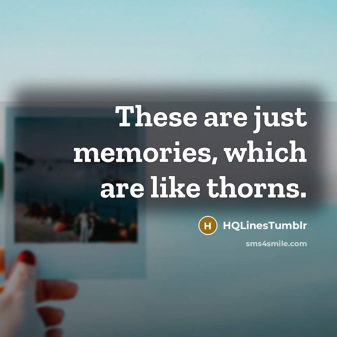 “These are just memories, which are like thorns.” quote by HQLinesTumblr