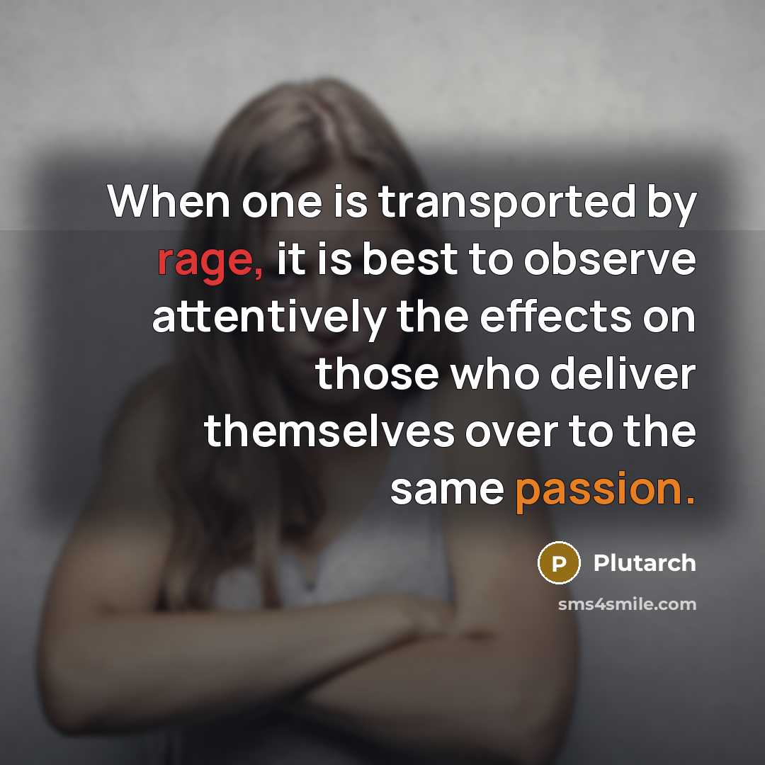 “When one is transported by rage, it is best to observe attentively the effects on those who deliver themselves over to the same passion.” quote by Plutarch