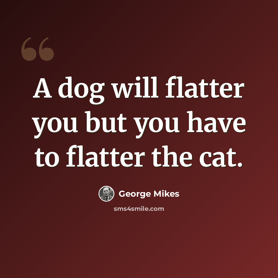 “A dog will flatter you but you have to flatter the cat.” quote by George Mikes