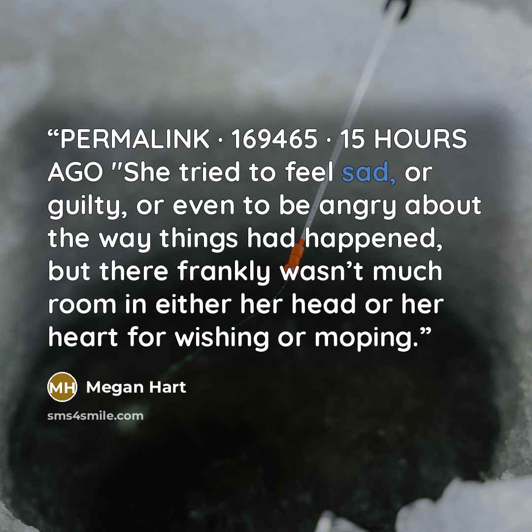 “PERMALINK · 169465 · 15 HOURS AGO "She tried to feel sad, or guilty, or even to be angry about the way things had happened, but there frankly wasn’t much room in either her head or her heart for wishing or moping.” quote by Megan Hart
