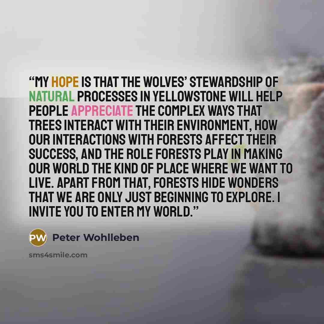 “My hope is that the wolves’ stewardship of natural processes in Yellowstone will help people appreciate the complex ways that trees interact with their environment, how our interactions with forests affect their success, and the role forests play in making our world the kind of place where we want…” quote by Peter Wohlleben