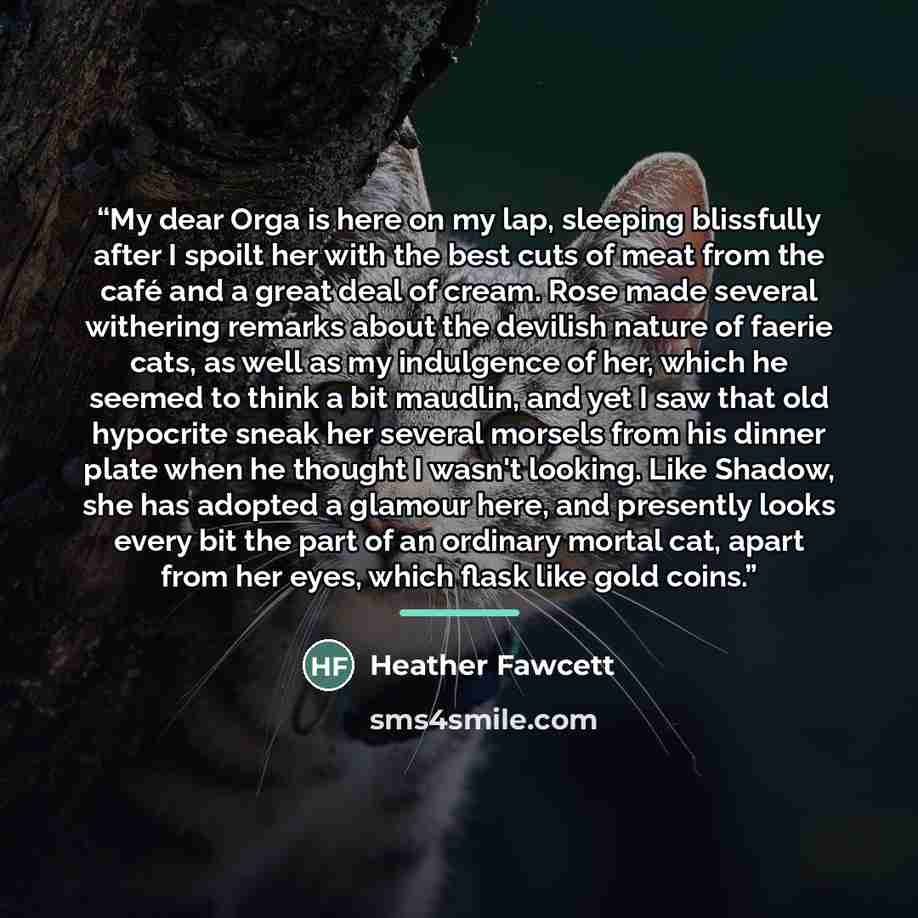 “My dear Orga is here on my lap, sleeping blissfully after I spoilt her with the best cuts of meat from the café and a great deal of cream. Rose made several withering remarks about the devilish nature of faerie cats, as well as my indulgence of her, which he seemed to think a bit maudlin, and yet…” quote by Heather Fawcett