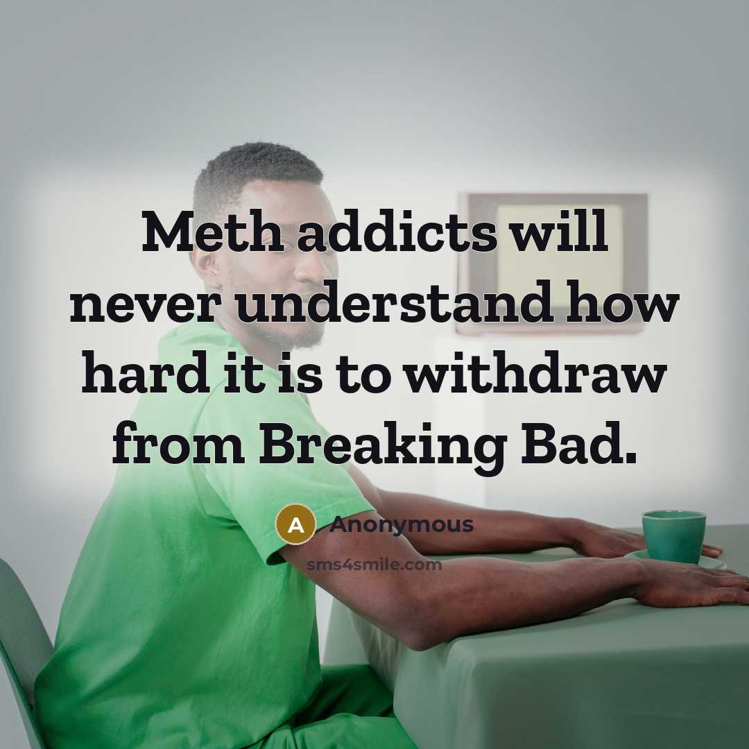 “Meth addicts will never understand how hard it is to withdraw from Breaking Bad.” quote by Anonymous