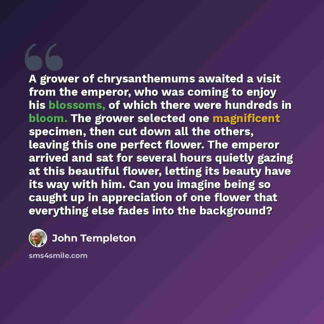 “A grower of chrysanthemums awaited a visit from the emperor, who was coming to enjoy his blossoms, of which there were hundreds in bloom. The grower selected one magnificent specimen, then cut down all the others, leaving this one perfect flower. The emperor arrived and sat for several hours…” quote by John Templeton