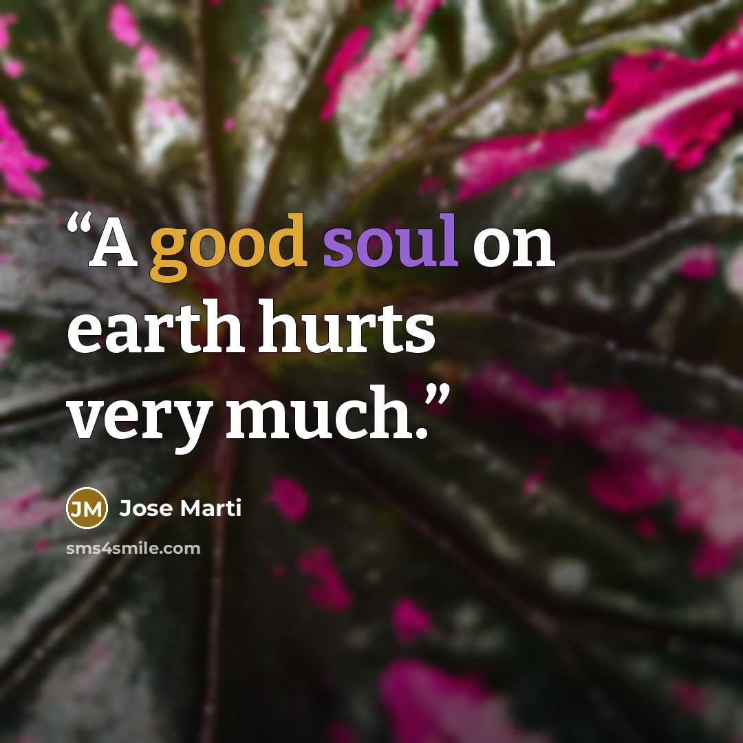 “A good soul on earth hurts very much.” quote by José Martí
