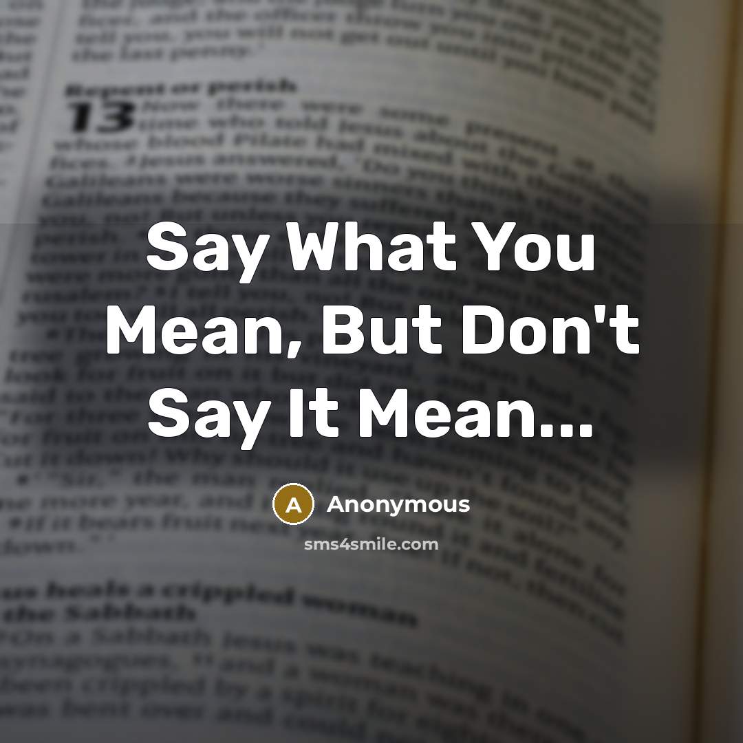 “Say What You Mean, But Don't Say It Mean...” quote by Anonymous