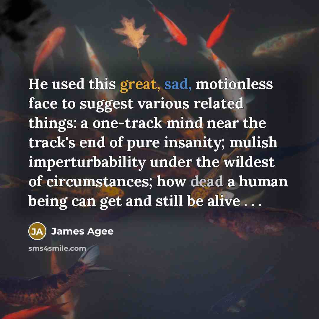 “He used this great, sad, motionless face to suggest various related things: a one-track mind near the track's end of pure insanity; mulish imperturbability under the wildest of circumstances; how dead a human being can get and still be alive . . .” quote by James Agee