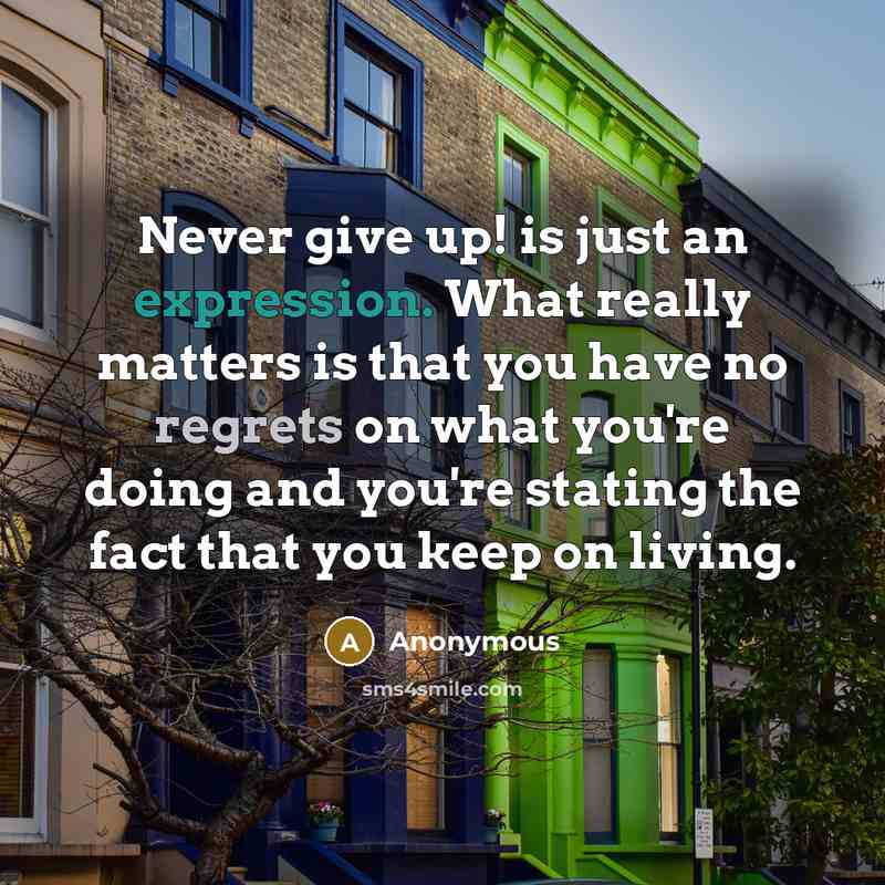 “Never give up! is just an expression. What really matters is that you have no regrets on what you're doing and you're stating the fact that you keep on living.” quote by Anonymous