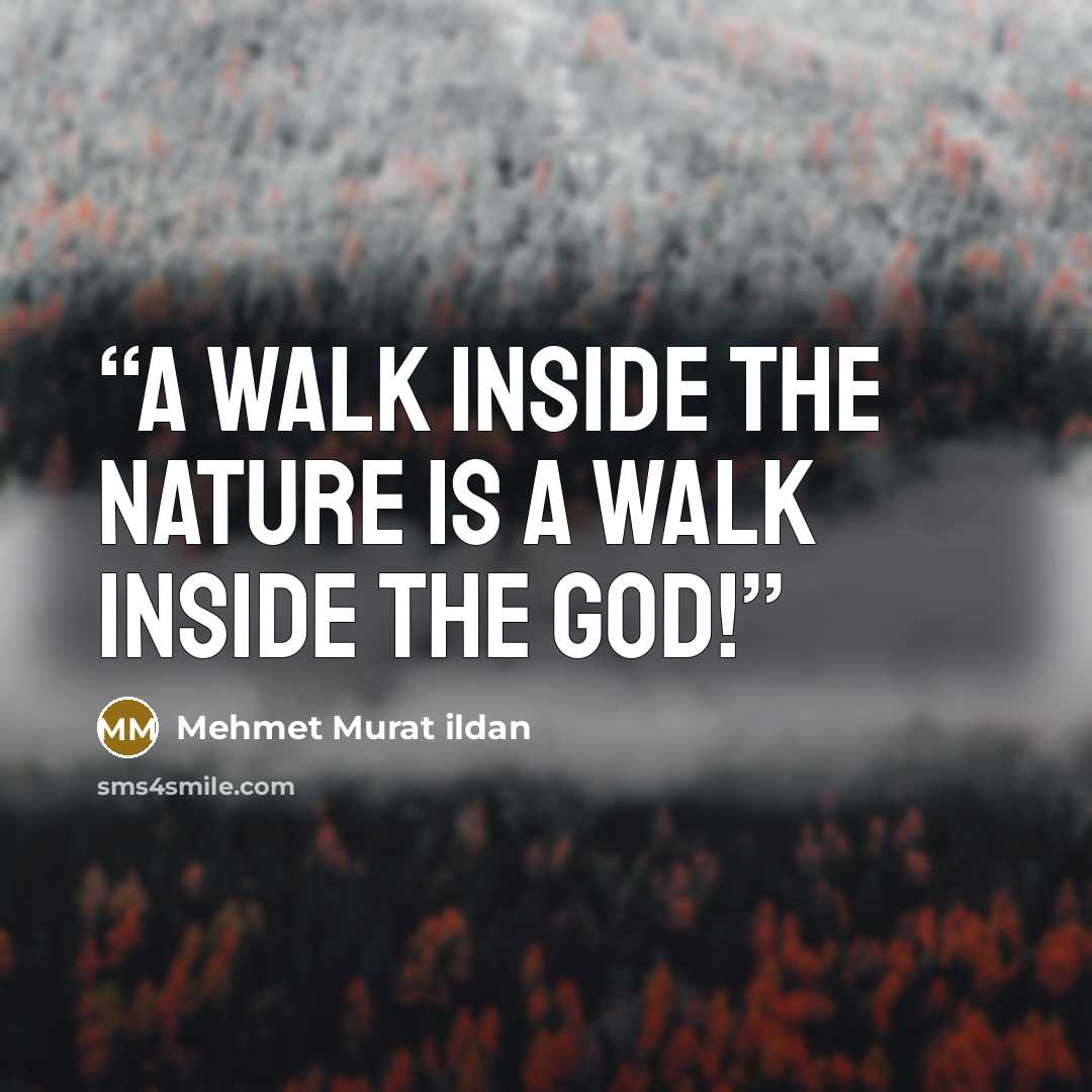 “A walk inside the nature is a walk inside the God!” quote by Mehmet Murat ildan