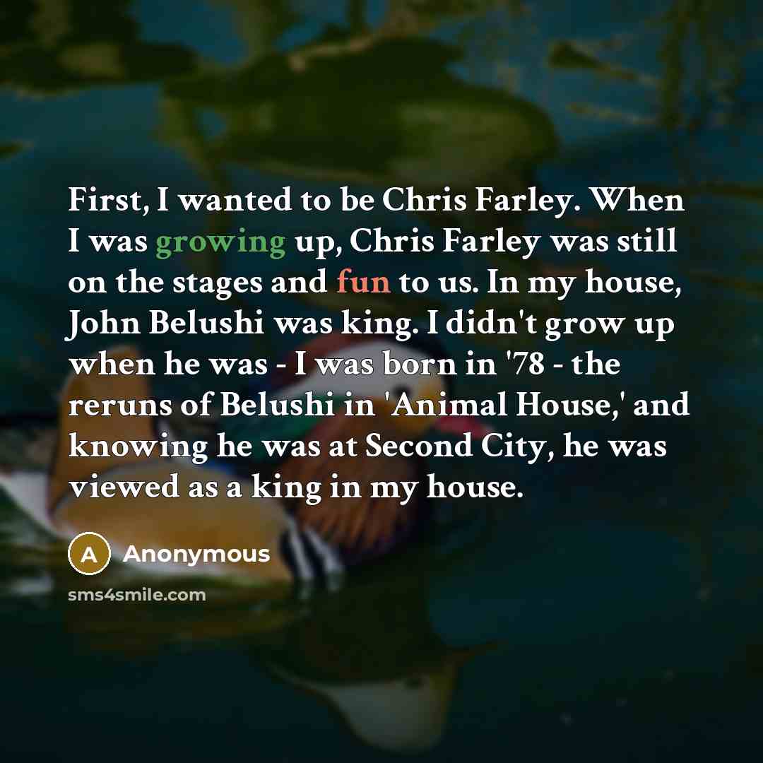 “First, I wanted to be Chris Farley. When I was growing up, Chris Farley was still on the stages and fun to us. In my house, John Belushi was king. I didn't grow up when he was - I was born in '78 - the reruns of Belushi in 'Animal House,' and knowing he was at Second City, he was viewed as a king…” quote by Anonymous
