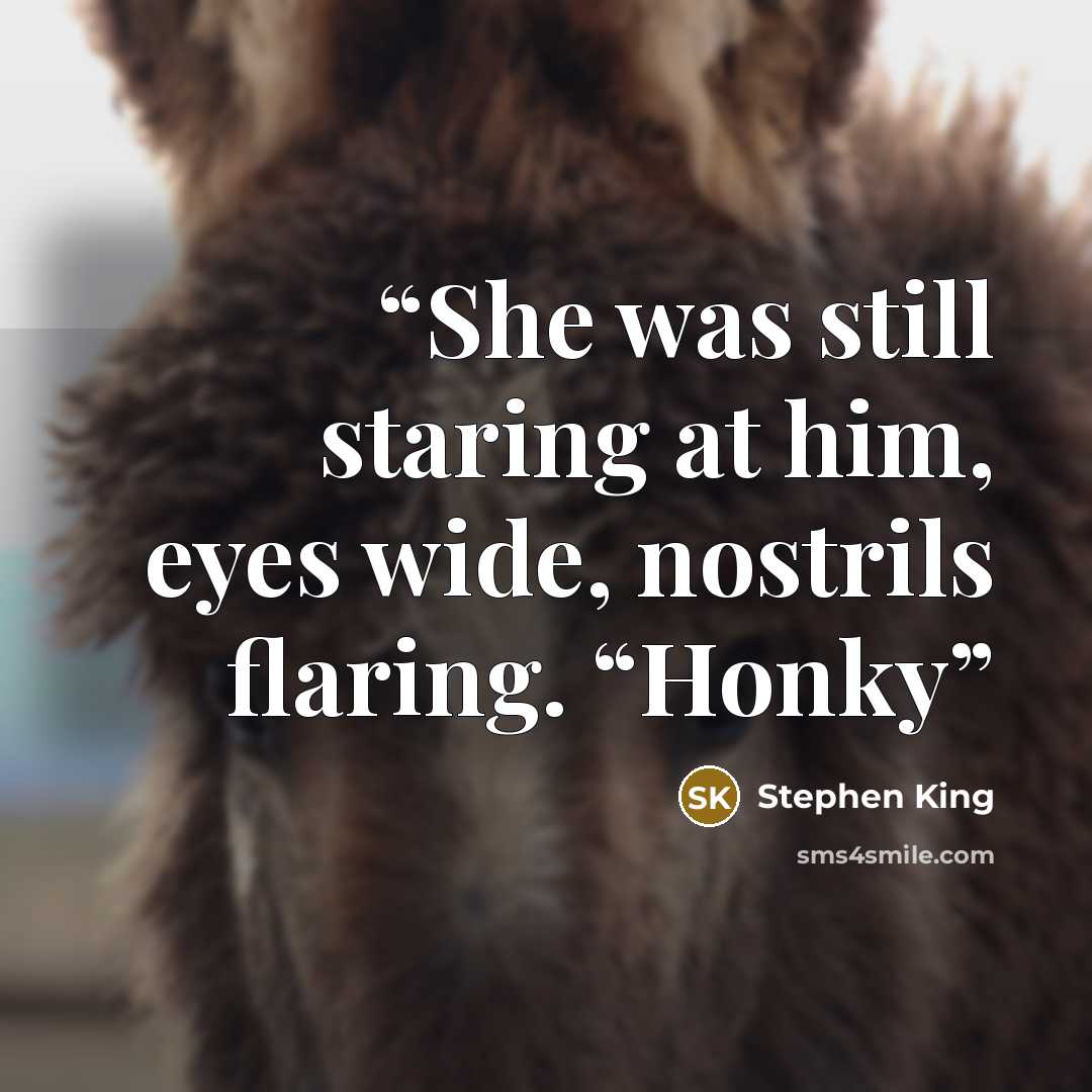 “She was still staring at him, eyes wide, nostrils flaring. “Honky” quote by Stephen King