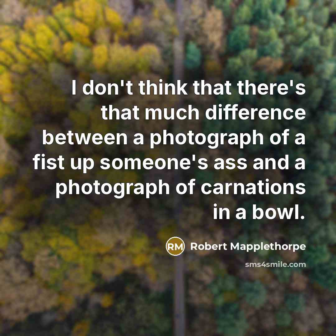 “I don't think that there's that much difference between a photograph of a fist up someone's ass and a photograph of carnations in a bowl.” quote by Robert Mapplethorpe