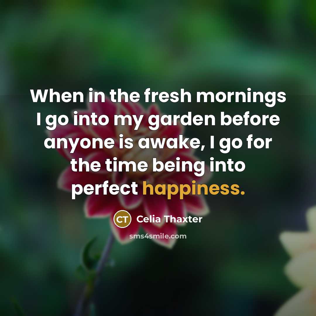 “When in the fresh mornings I go into my garden before anyone is awake, I go for the time being into perfect happiness.” quote by Celia Thaxter