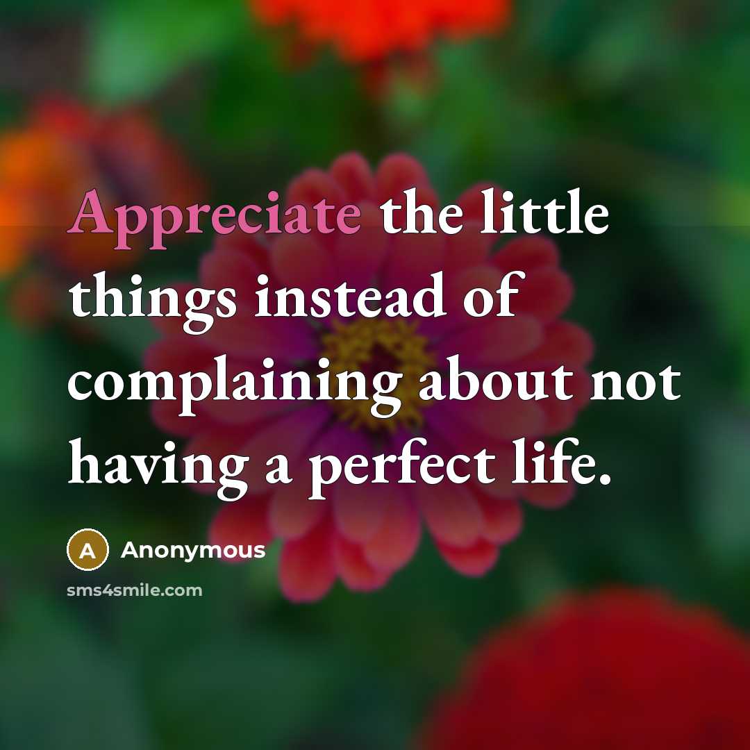 “Appreciate the little things instead of complaining about not having a perfect life.” quote by Anonymous