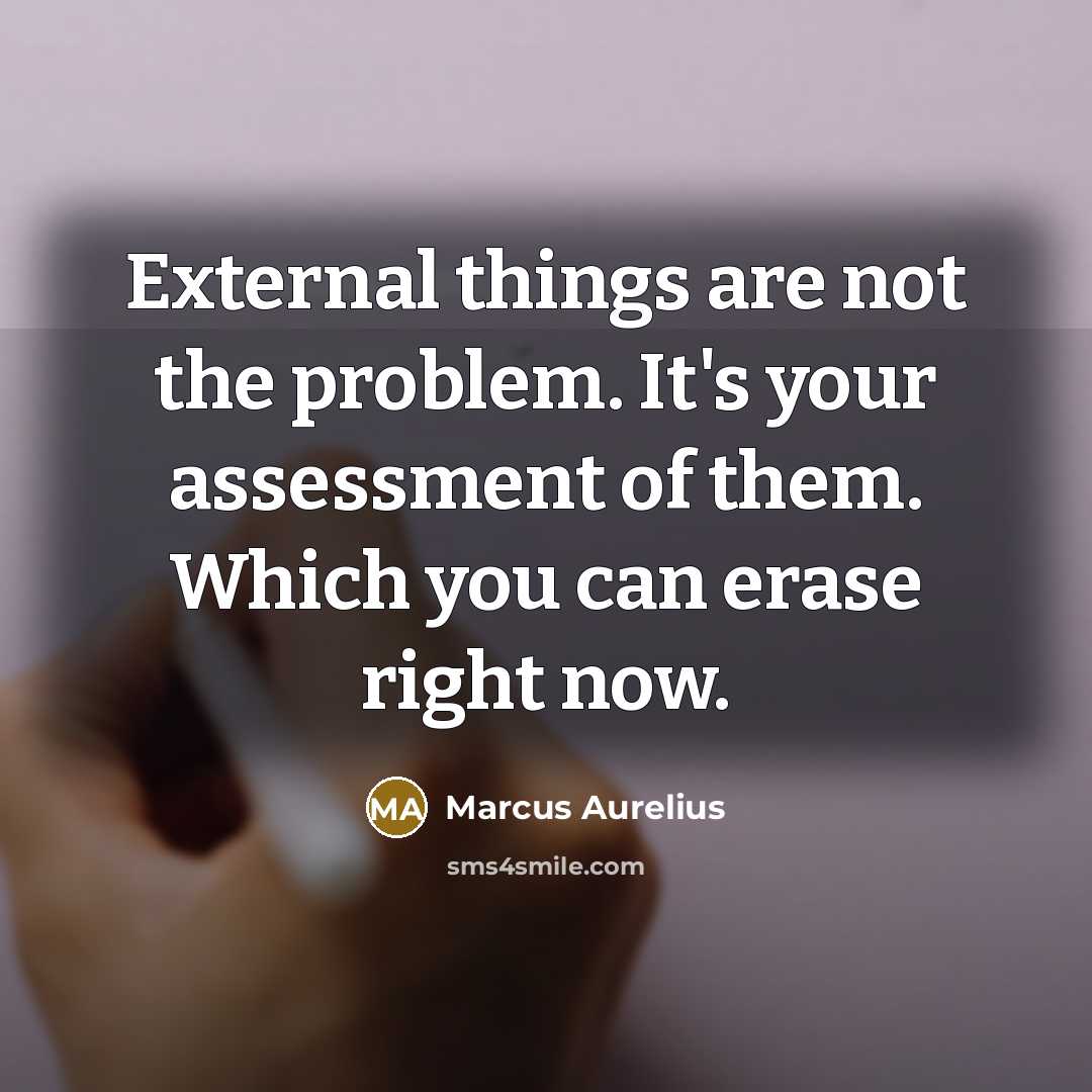 “External things are not the problem. It's your assessment of them. Which you can erase right now.” quote by Marcus Aurelius