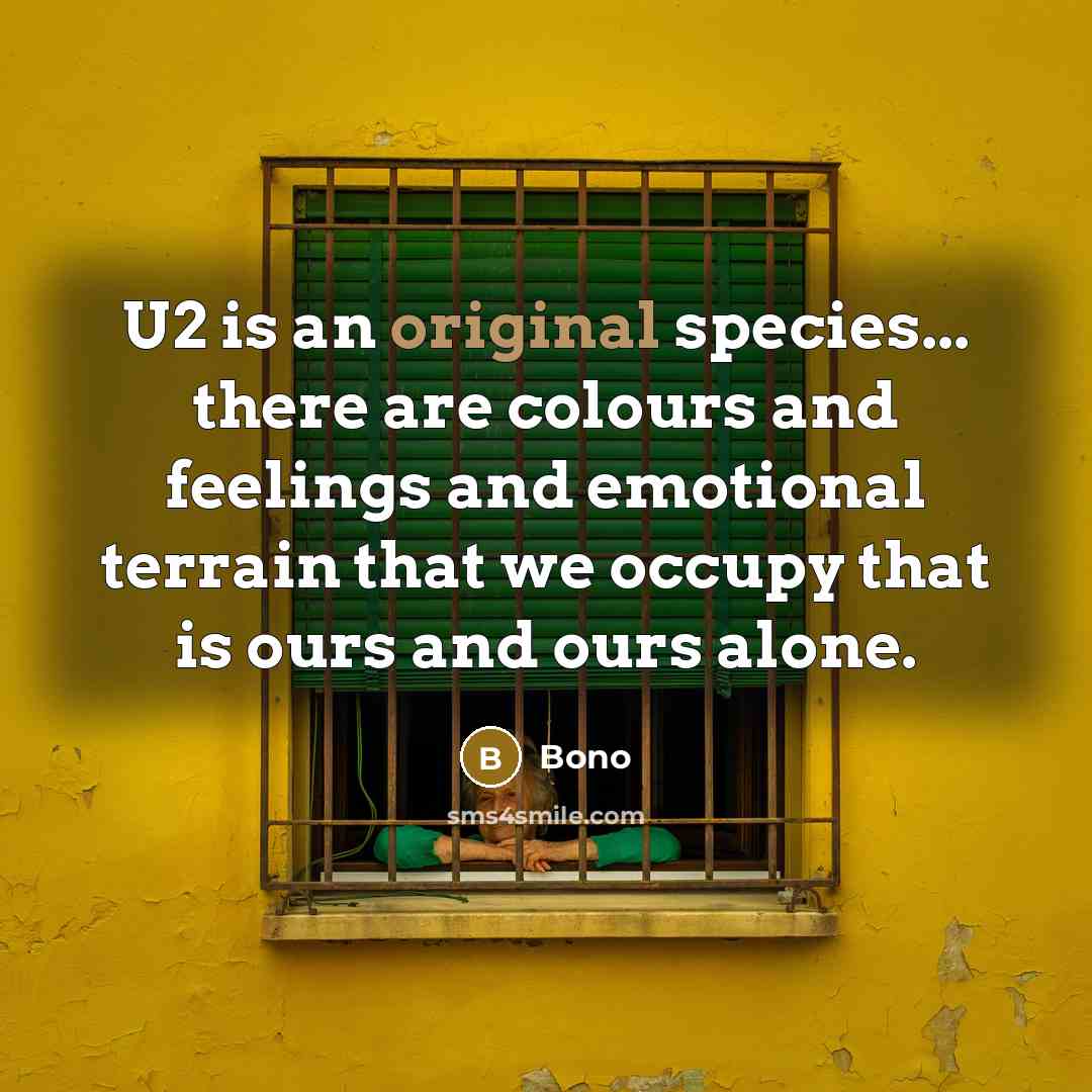 “U2 is an original species... there are colours and feelings and emotional terrain that we occupy that is ours and ours alone.” quote by Bono