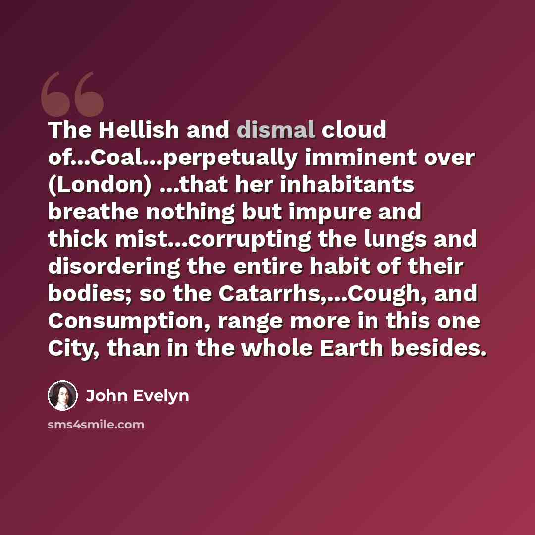 “The Hellish and dismal cloud of...Coal...perpetually imminent over (London) ...that her inhabitants breathe nothing but impure and thick mist...corrupting the lungs and disordering the entire habit of their bodies; so the Catarrhs,...Cough, and Consumption, range more in this one City, than in the…” quote by John Evelyn