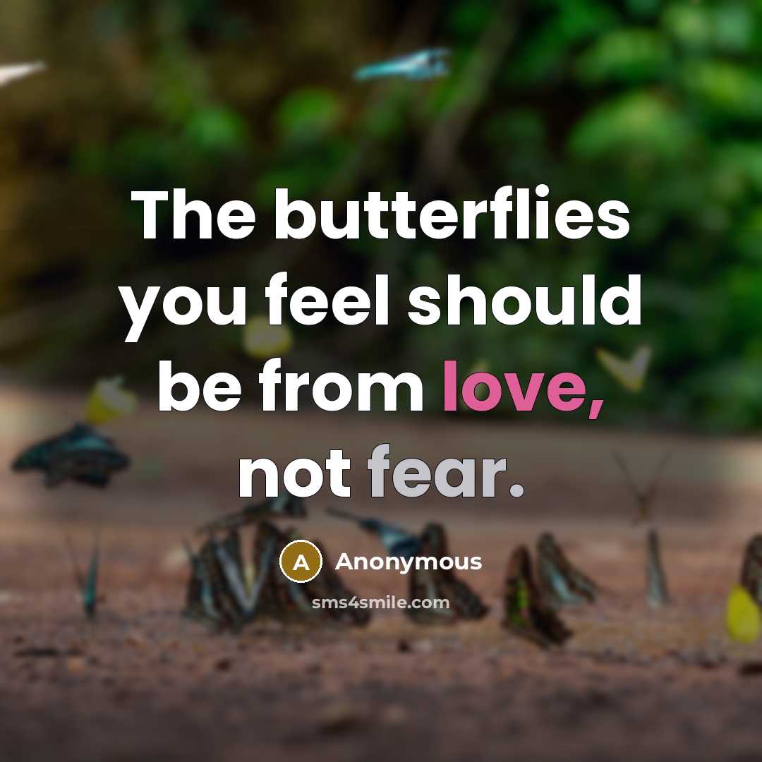 “The butterflies you feel should be from love, not fear.” quote by Anonymous