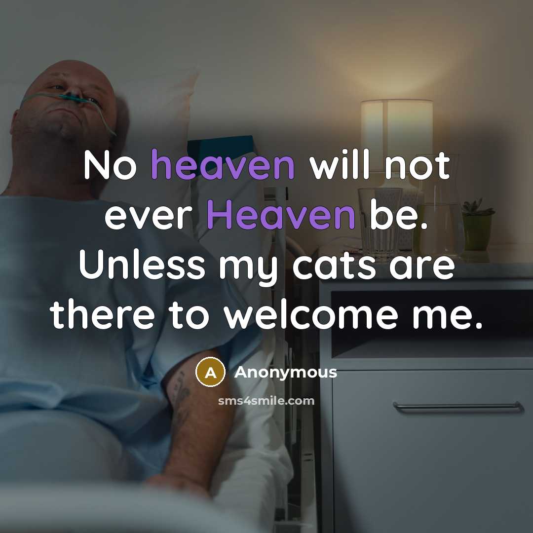 “No heaven will not ever Heaven be. Unless my cats are there to welcome me.” quote by Anonymous