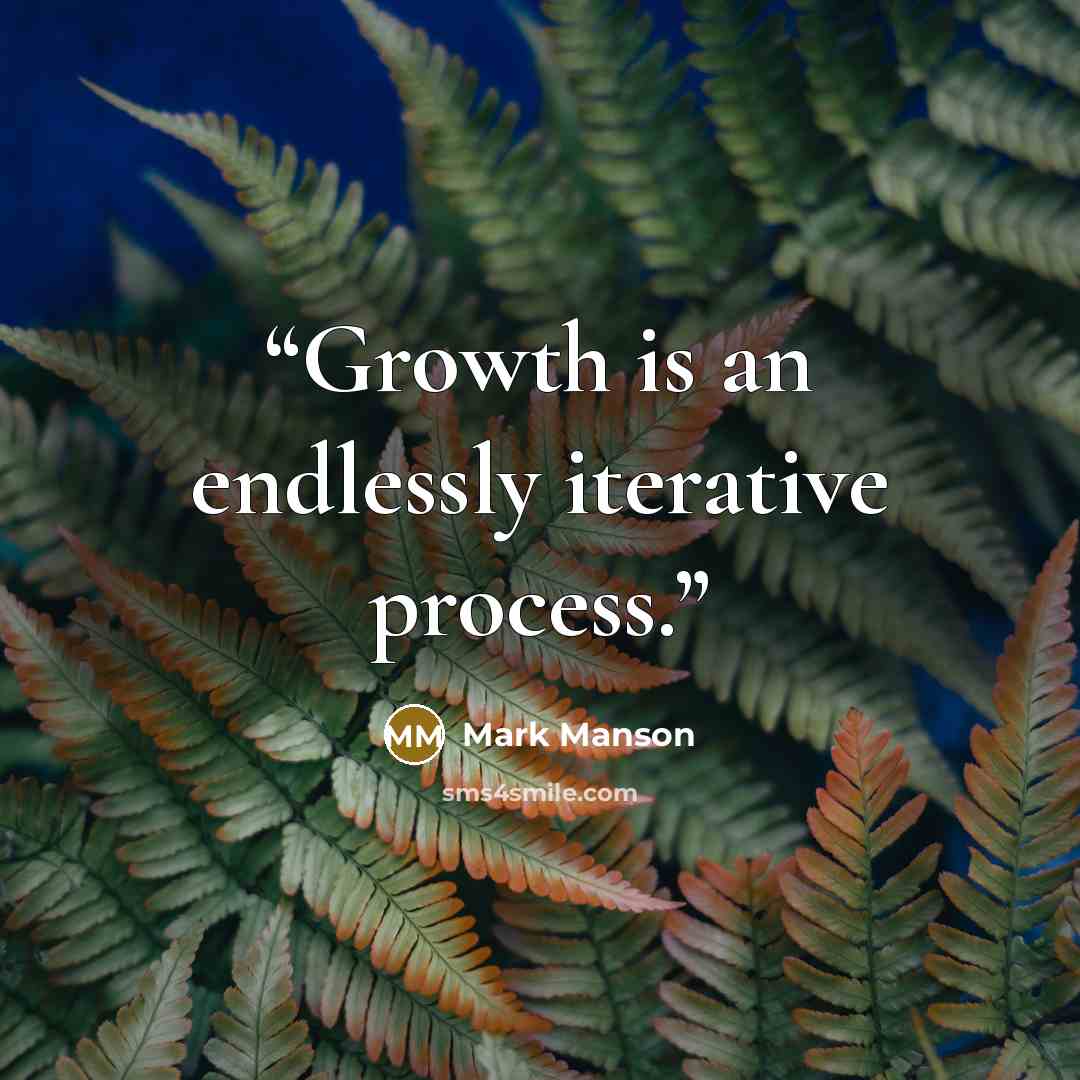 “Growth is an endlessly iterative process.” quote by Mark Manson